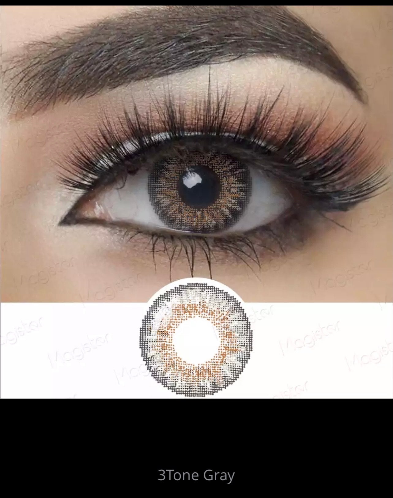 Dg Magister Contact Lens