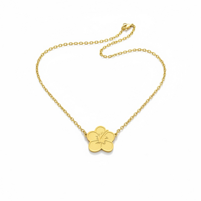 Amapola Gold and Silver