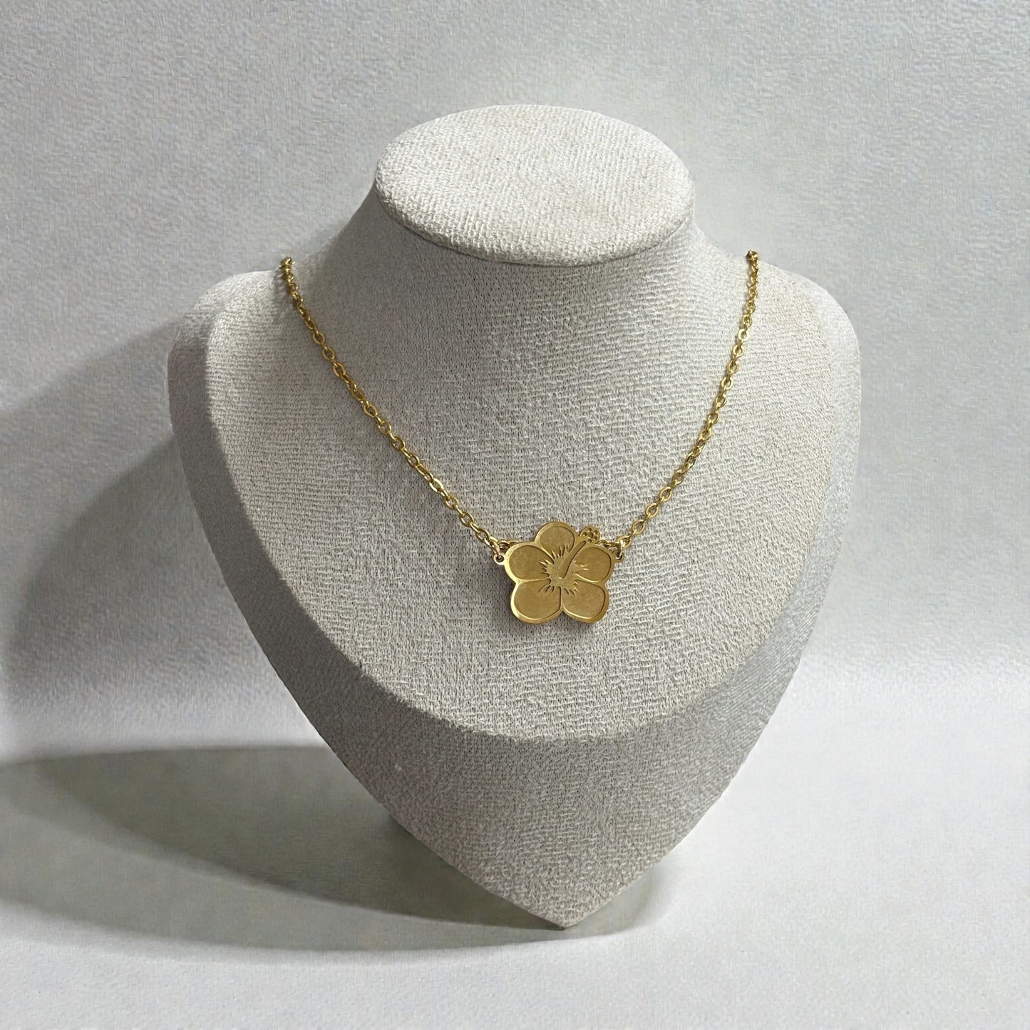 Amapola Gold and Silver