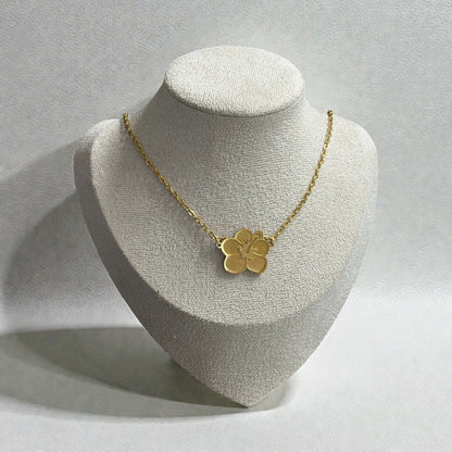 Amapola Gold and Silver