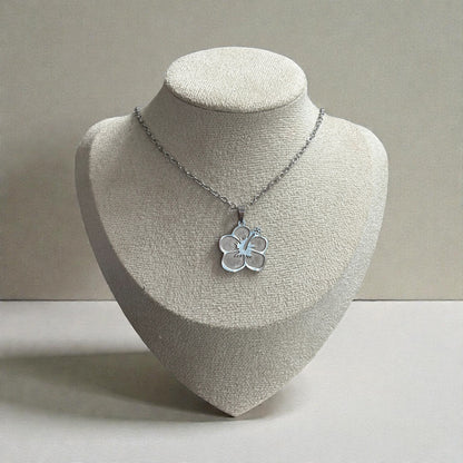 Amapola Gold and Silver